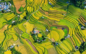 Đặc sắc Ngày hội Mùa vàng Tả Lèng giữa không gian núi rừng Tây Bắc