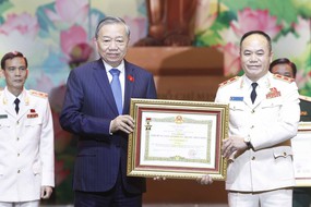 Từ phong trào hành động đến hệ sinh thái nhân văn