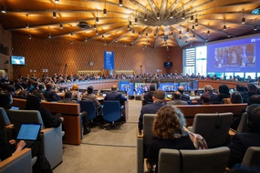 Điểm lại 11 di sản tư liệu của Việt Nam được UNESCO ghi danh