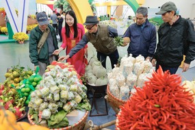 Hội chợ Mùa Xuân 2026: Sự bổ trợ lẫn nhau mạnh mẽ giữa hai nền kinh tế Việt Nam - Australia