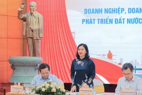 Hội nghị “Doanh nghiệp tư nhân Việt Nam và chính sách đảng viên làm kinh tế tư nhân”