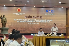 Phá vỡ điểm nghẽn thể chế cho kinh tế tư nhân