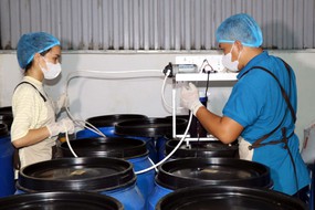 Để doanh nghiệp khởi nghiệp sáng tạo có khả năng cạnh tranh quốc tế