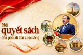 Mỗi quyết sách đều phải đi đến cuộc sống