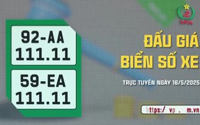 Đấu giá trực tuyến các biển số 59EA - 111.11 và 14AA - 333.33 trong ngày 16/5/2025