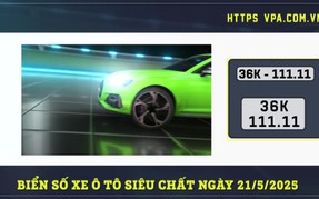 Hãy sẵn sàng để nâng tầm chiếc xe của bạn với những biển số độc đáo