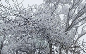 Dự báo thời tiết đêm 6/1, ngày 7/1: Xuất hiện rét hại ở một số nơi