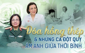 ĐÓA HỒNG THÉP VÀ NHỮNG CA ĐỘT QUỴ ÁM ẢNH GIỮA THỜI BÌNH