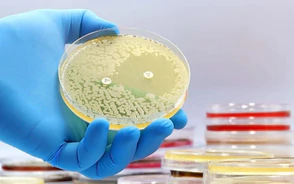 AI tạo virus có khả năng tiêu diệt vi khuẩn kháng thuốc