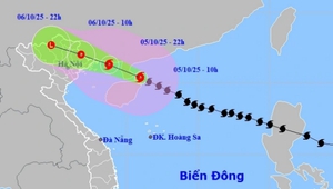 Ứng phó bão số 11: Lai Châu lên phương án ứng phó với mưa lớn, sạt lở đất, lũ ống, lũ quét