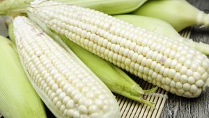 Chữ và nghĩa: Từ "ngô" đến "bắp"