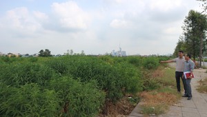 Góp ý Dự thảo Văn kiện Đại hội XIV của Đảng: Hướng đến nền kinh tế xanh, số hóa và tự cường