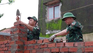 Nỗ lực, quyết liệt hơn nữa trong thực hiện “Chiến dịch Quang Trung” thần tốc