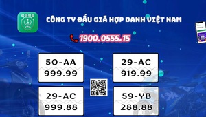 Siêu phẩm ngũ quý 8 chính thức có mặt tại buổi đấu giá của công ty đấu giá hợp danh VPA