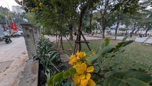 Góc nhìn 365: Năm mới và công viên mới