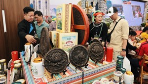 Hội chợ mùa Xuân 2026 - Không gian văn hóa Xuân Việt trong nhịp sống đương đại