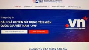 Tên miền quốc gia “.vn” được đấu giá gấp hơn 20 lần giá khởi điểm trong ngày đầu tiên