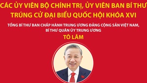 Các Ủy viên Bộ Chính trị, Ủy viên Ban Bí thư trúng cử đại biểu Quốc hội khóa XVI
