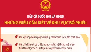 Bầu cử Quốc hội và HĐND: Những điều cần biết về Khu vực bỏ phiếu