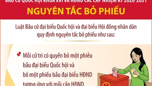 Bầu cử Quốc hội và HĐND: Nguyên tắc bỏ phiếu