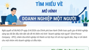 Tìm hiểu về mô hình "Doanh nghiệp một người"