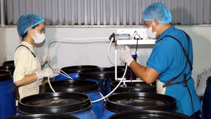 Để doanh nghiệp khởi nghiệp sáng tạo có khả năng cạnh tranh quốc tế