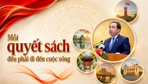 Mỗi quyết sách đều phải đi đến cuộc sống