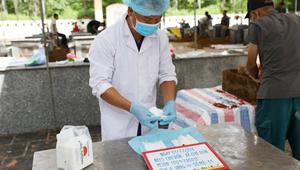 Phó Thủ tướng Phạm Thị Thanh Trà yêu cầu đẩy mạnh tìm kiếm, quy tập hài cốt liệt sĩ và nâng cao năng lực giám định ADN