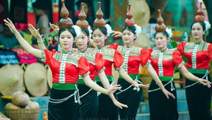 Cục Nghệ thuật biểu diễn kêu gọi hưởng ứng Ngày Văn hóa Việt Nam 24/11