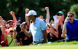 WGC Bridgestone Invitational: Đẳng cấp Tiger Woods
