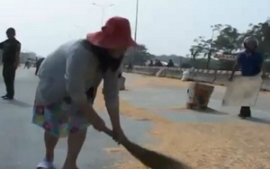 Lại xuất hiện 'hôi ngô' tại Đồng Nai