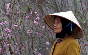 Hà Nội những ngày cuối năm