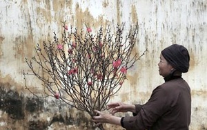 Giáp Tết, Hà Nội chợt yên bình