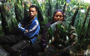 Chật ních chợ hoa đêm