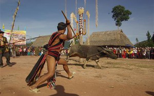 'Phải yêu để mà hiểu...'