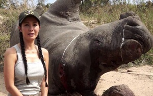 Hồng Nhung ra MV kêu gọi không tiêu thụ sừng tê giác tại Nam Phi