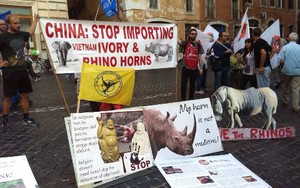 Thư châu Âu: Thế giới không nhỏ lại