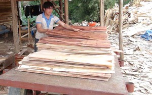 Việt Nam phải chuyển sang mô hình tăng trưởng dựa trên năng suất lao động