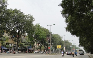 Chuyện Hà Nội: Ký ức 'Cao - Xà - Lá'