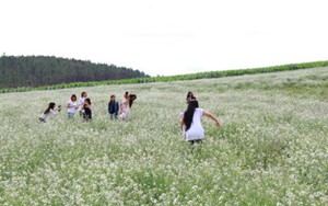 Đừng chỉ vì 'câu like'