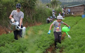 Giải mã sức hút 'Bố ơi mình đi đâu thế'?