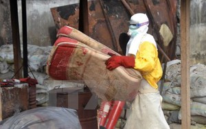 Dịch Ebola đe dọa thành tựu về phòng chống bệnh sốt rét