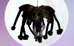 YouTube tung video tổng kết xu hướng nổi bật trong năm