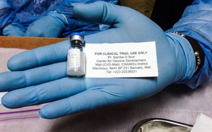 Thụy Sĩ ngừng thử nghiệm một loại vắcxin phòng Ebola