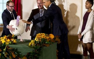 Lễ Tạ ơn đời mới