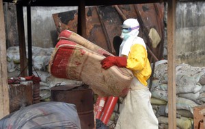 IMF bị chỉ trích vì gián tiếp làm tăng lây lan Ebola