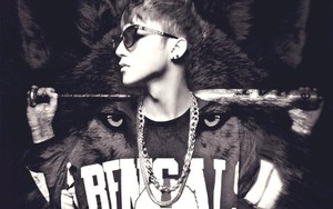 Vì sao Sơn Tùng M-TP?