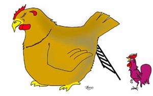 Tranh của Họa sĩ Hùng - Dingo