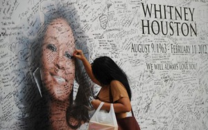 Giới khoa học Hà Lan tái hiện... cái chết của nhiều người nổi tiếng