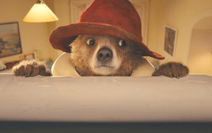 'Gấu Paddington': Tình cảm gia đình làm lay động khán giả